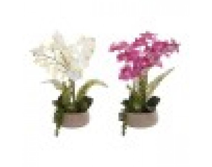 Декоративно Растение Home ESPRIT полиетилен Папиемаше 40 X 35 X 52 cm (2 броя)