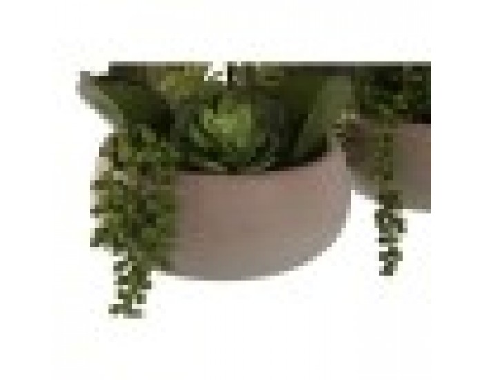 Декоративно Растение Home ESPRIT полиетилен Папиемаше 40 X 35 X 52 cm (2 броя)