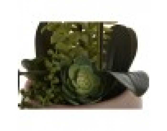 Декоративно Растение Home ESPRIT полиетилен Папиемаше 40 X 35 X 52 cm (2 броя)