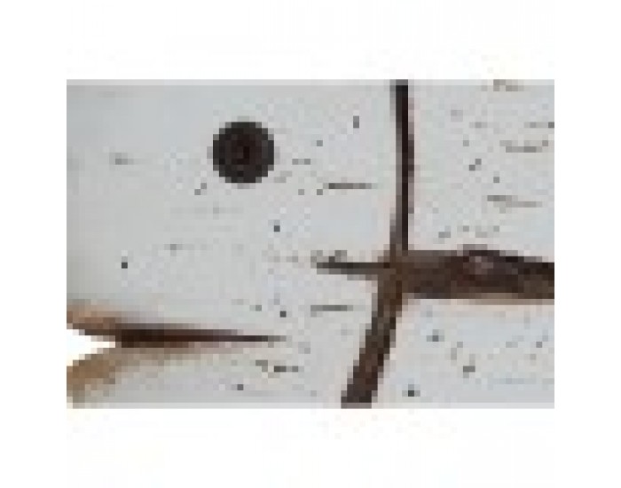 Декоративна фигурка Home ESPRIT Бял Естествен Риба Завършек със състаряващо покритие (2 броя)