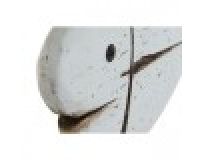 Декоративна фигурка Home ESPRIT Бял Естествен Риба Завършек със състаряващо покритие (2 броя)