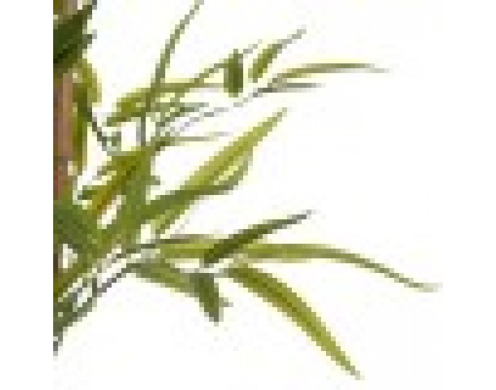 Декоративно Растение Бамбук Зелен Пластмаса (80 x 150 x 80 cm)