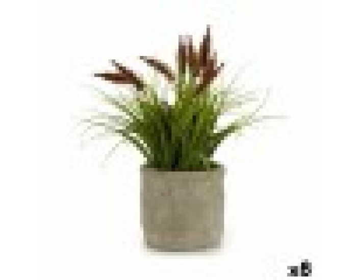 Декоративно Растение Щип Пластмаса 12 x 30 x 12 cm (8 броя)