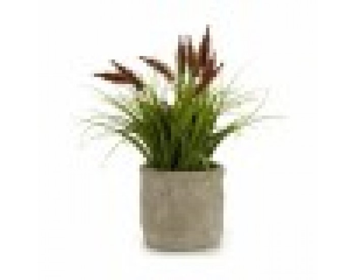 Декоративно Растение Щип Пластмаса 12 x 30 x 12 cm (8 броя)