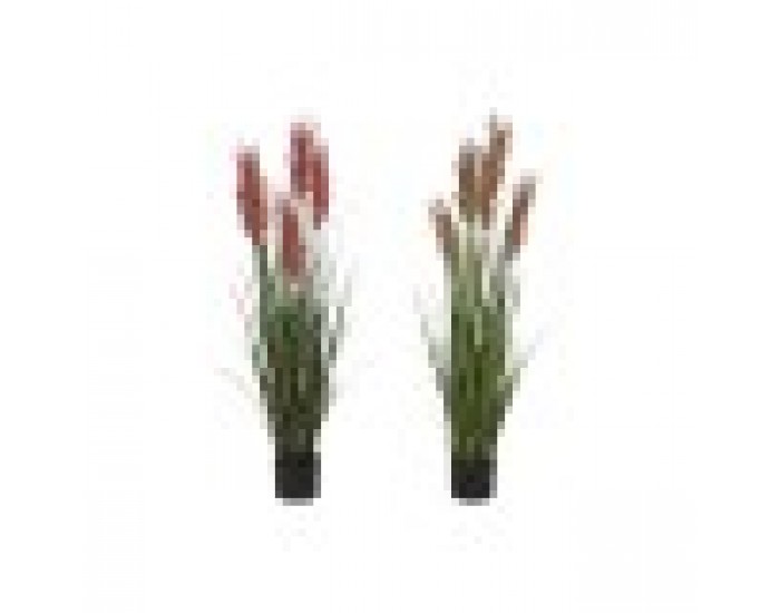 Декоративно Растение Home ESPRIT PVC полиетилен 35 x 35 x 120 cm (2 броя)