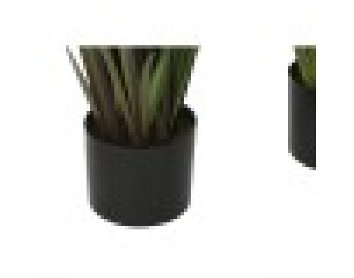 Декоративно Растение Home ESPRIT PVC полиетилен 35 x 35 x 120 cm (2 броя)