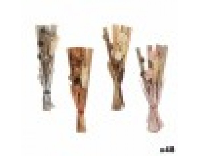 Корсажи Сив Оранжев Розов Естествен 15 x 35 x 5 cm (48 броя)