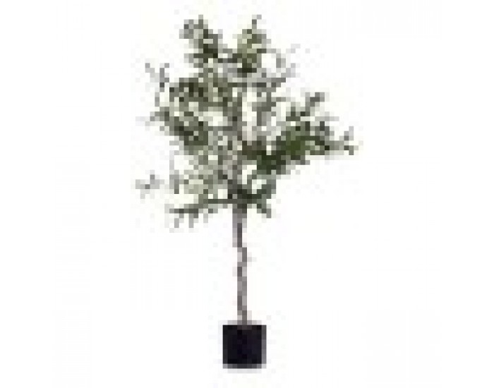 Декоративно Растение Маслина Зелен Пластмаса (85 x 150 x 85 cm)