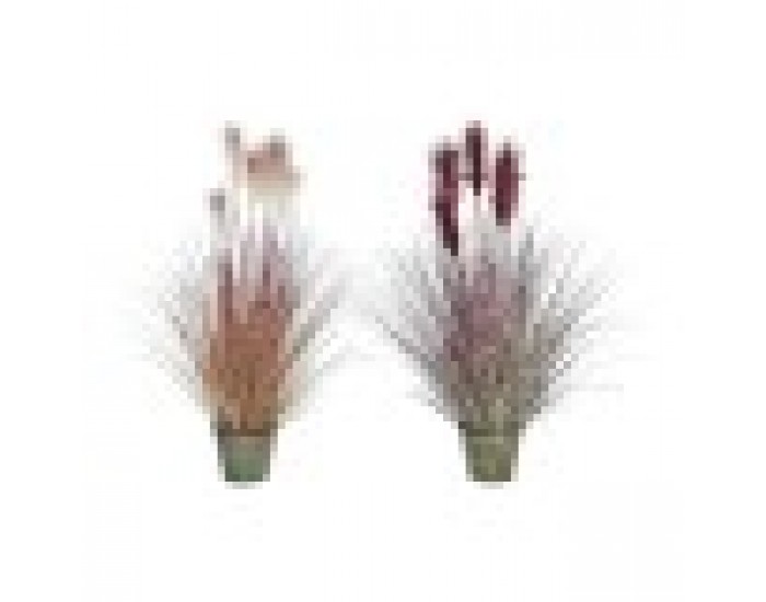 Декоративно Растение DKD Home Decor Оранжев Бургундия PE (20 x 20 x 90 cm) (2 броя)