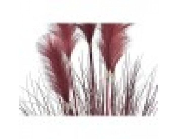 Декоративно Растение DKD Home Decor Оранжев Бургундия PE (20 x 20 x 90 cm) (2 броя)