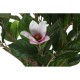 Декоративно Растение DKD Home Decor Розов Зелен PE (60 x 60 x 125 cm)