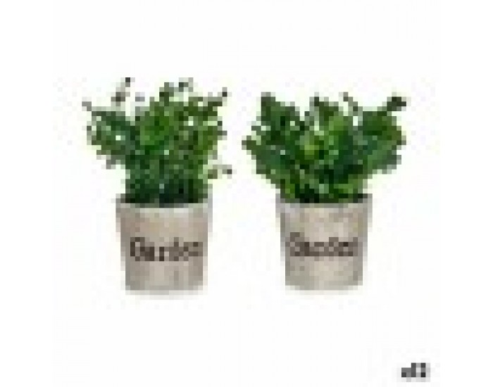 Декоративно Растение Пластмаса 16 x 22 x 16 cm (12 броя)