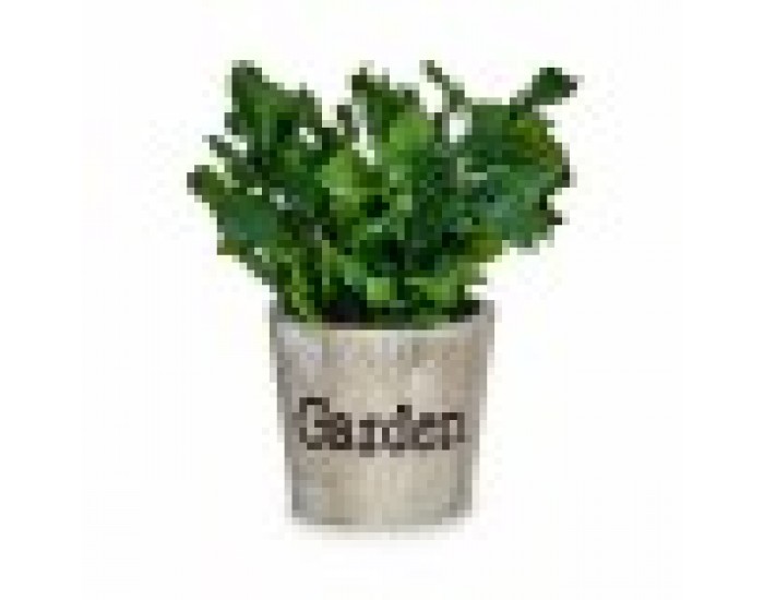 Декоративно Растение Пластмаса 16 x 22 x 16 cm (12 броя)