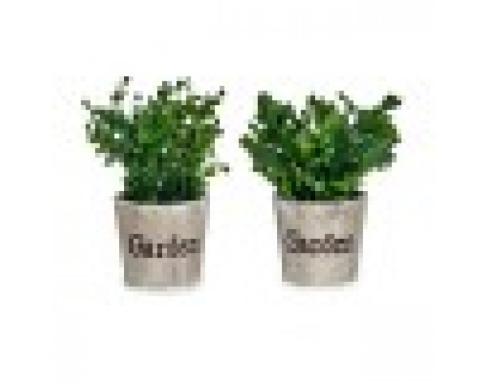 Декоративно Растение Пластмаса 16 x 22 x 16 cm (12 броя)