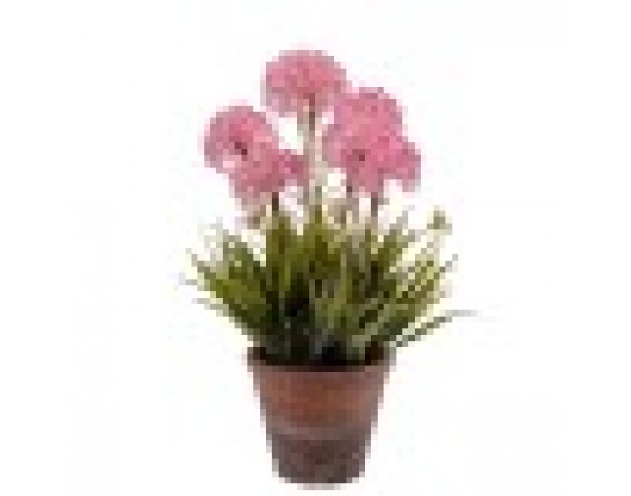 Декоративно Растение Kорк Керамика Пластмаса 24 x 43 x 24 cm (8 броя)