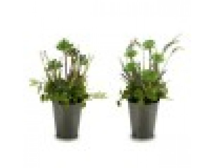 Декоративно Растение Поле с цветя Пластмаса 20 x 41 x 20 cm (6 броя)