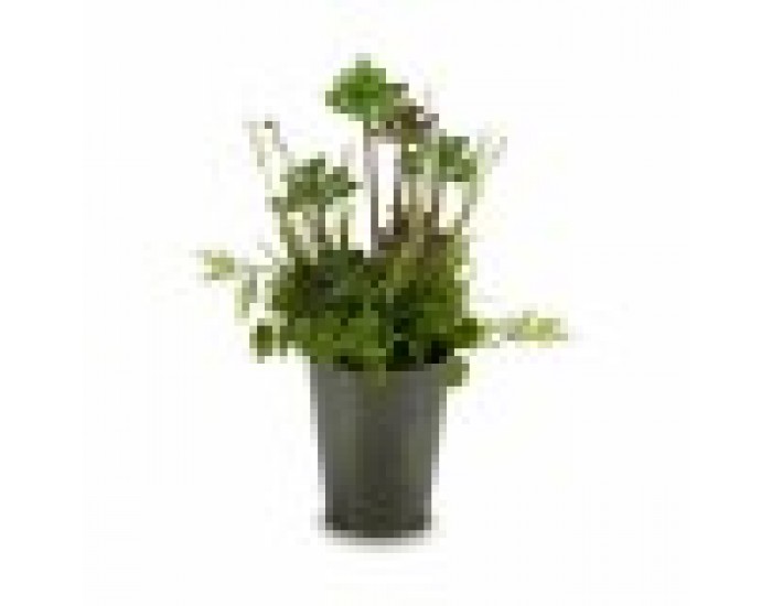 Декоративно Растение Поле с цветя Пластмаса 20 x 41 x 20 cm (6 броя)