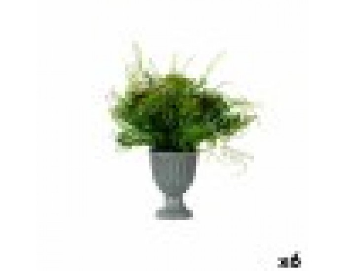 Декоративно Растение Чаша Пластмаса 21 x 30 x 21 cm (6 броя)