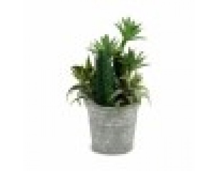 Декоративно Растение Ibergarden XD18-1182A-B Пластмаса Цимент 15 x 24 x 15 cm (12 броя)