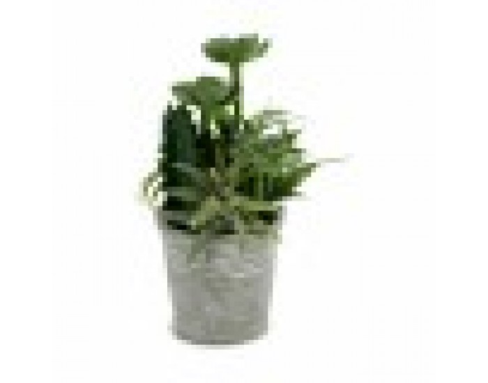 Декоративно Растение Ibergarden XD18-1182A-B Пластмаса Цимент 15 x 24 x 15 cm (12 броя)