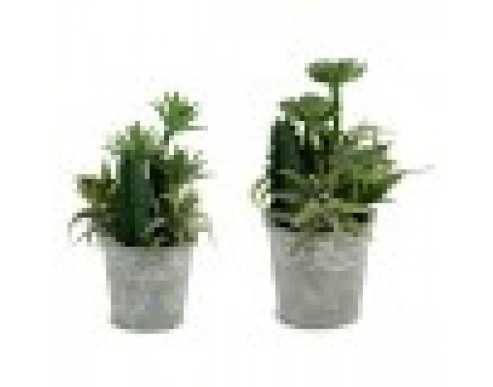 Декоративно Растение Ibergarden XD18-1182A-B Пластмаса Цимент 15 x 24 x 15 cm (12 броя)