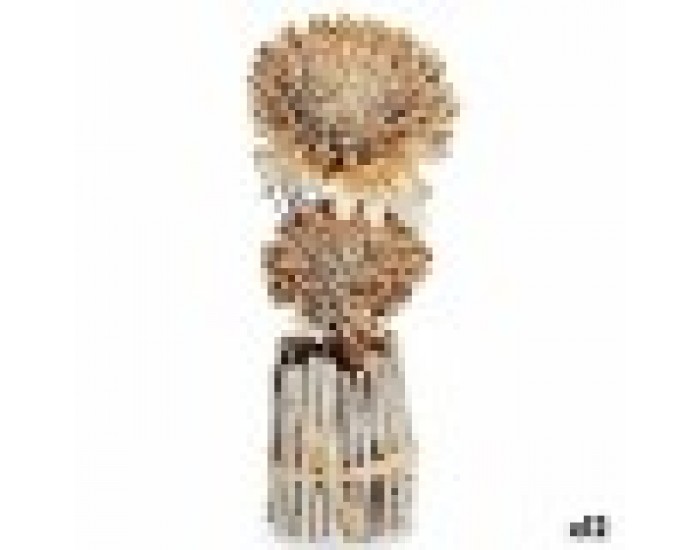 Декоративно Цвете Естествен 13 x 37 x 14 cm (12 броя)