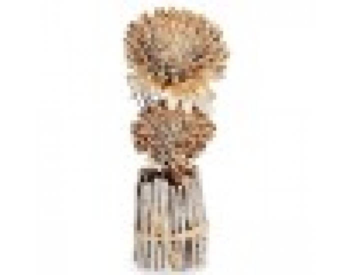 Декоративно Цвете Естествен 13 x 37 x 14 cm (12 броя)