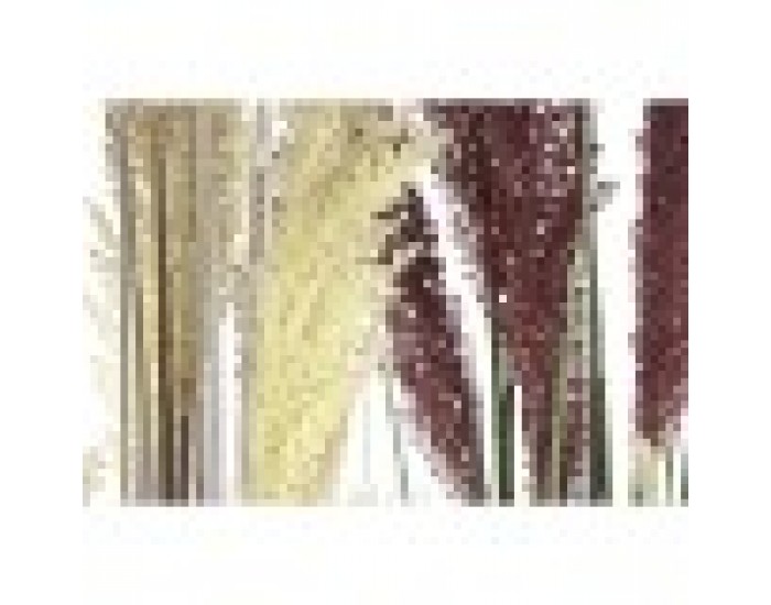 Декоративно Растение Home ESPRIT PVC полиетилен 45 x 45 x 150 cm (2 броя)