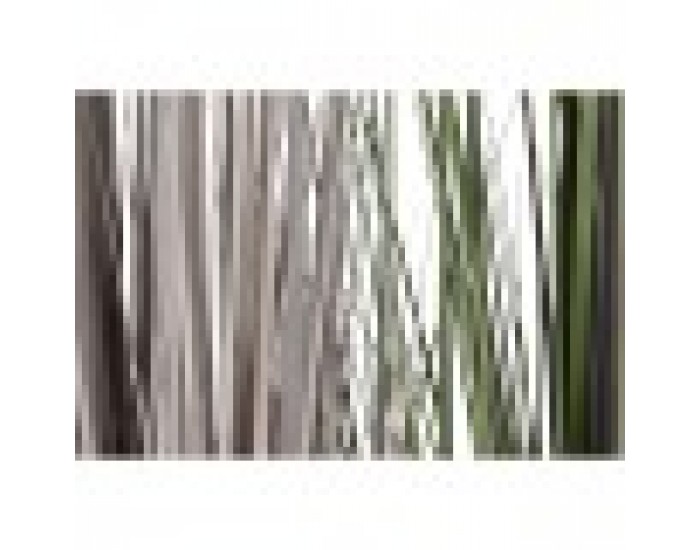 Декоративно Растение Home ESPRIT PVC полиетилен 45 x 45 x 150 cm (2 броя)