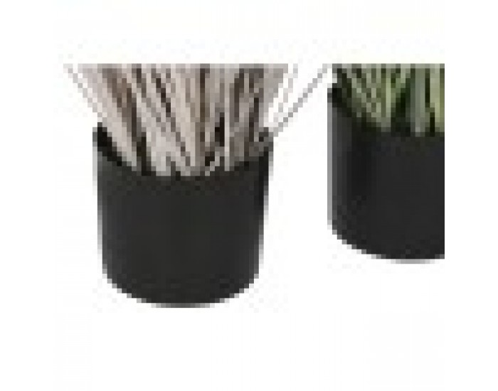 Декоративно Растение Home ESPRIT PVC полиетилен 45 x 45 x 150 cm (2 броя)