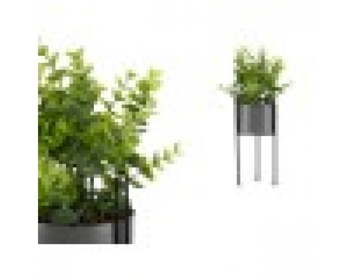 Декоративно Растение Евкалипт Метал Пластмаса 14 x 40 x 14 cm (8 броя)