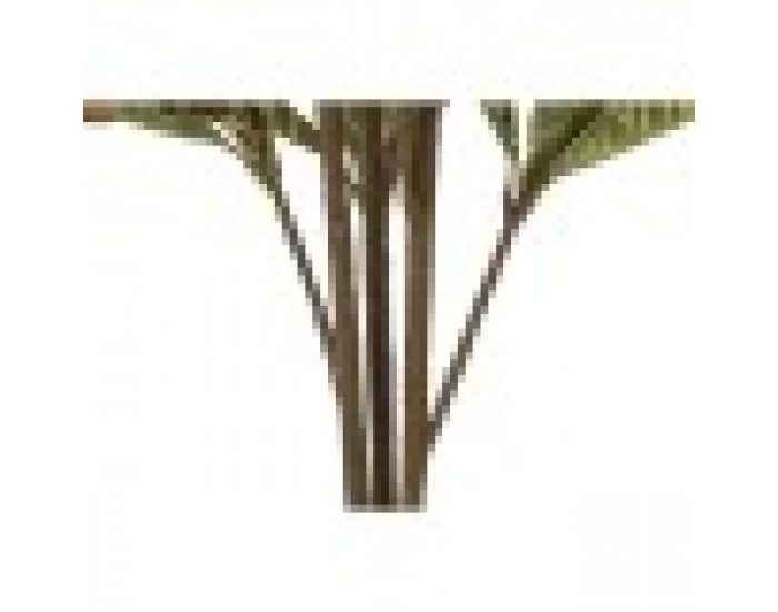 Декоративно Растение DKD Home Decor Кафяв Зелен PE (50 x 50 x 140 cm)