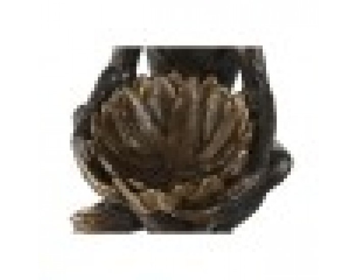 Декоративна фигурка Home ESPRIT Златен Тъмно сив Маймуна 40 x 37 x 50 cm