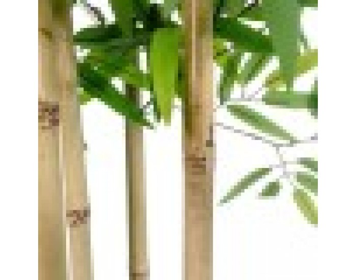 Дърво Home ESPRIT полиестер Бамбук 80 x 80 x 180 cm