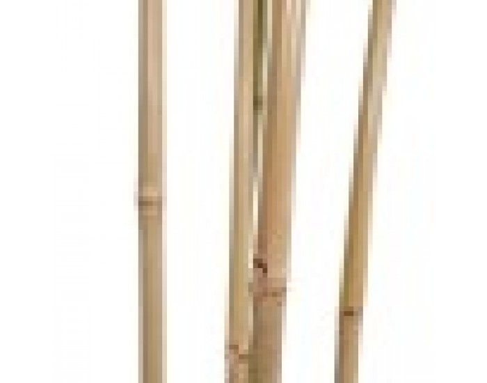 Дърво Home ESPRIT полиестер Бамбук 80 x 80 x 180 cm