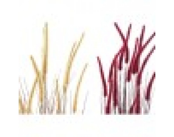 Декоративно Растение DKD Home Decor Оранжев Бургундия PVC PE (2 броя) (30 x 30 x 150 cm)