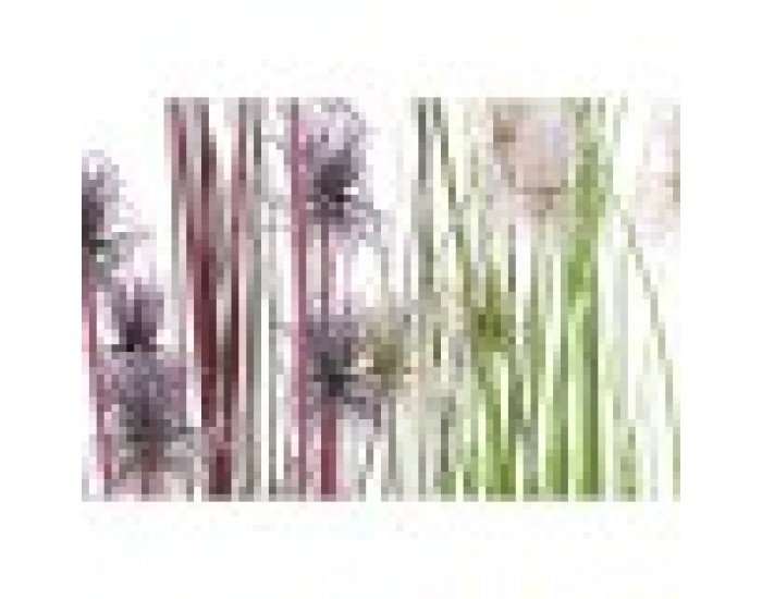 Декоративно Растение DKD Home Decor Люляк Светло розово PVC PE (40 x 40 x 150 cm) (2 броя)