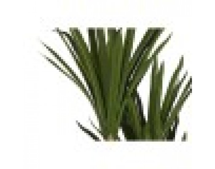 Декоративно Растение DKD Home Decor (80 x 80 x 180 cm)