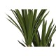 Декоративно Растение DKD Home Decor (80 x 80 x 180 cm)