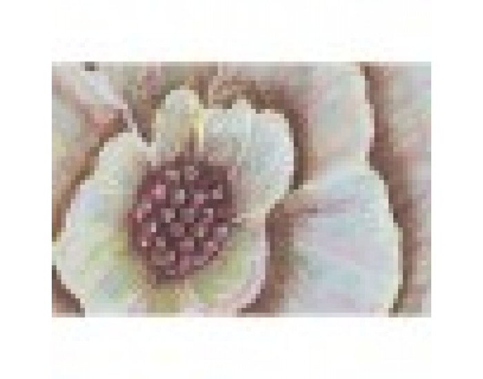 Пластно DKD Home Decor Кристал Lilled Пластно (80 x 4 x 120 cm)