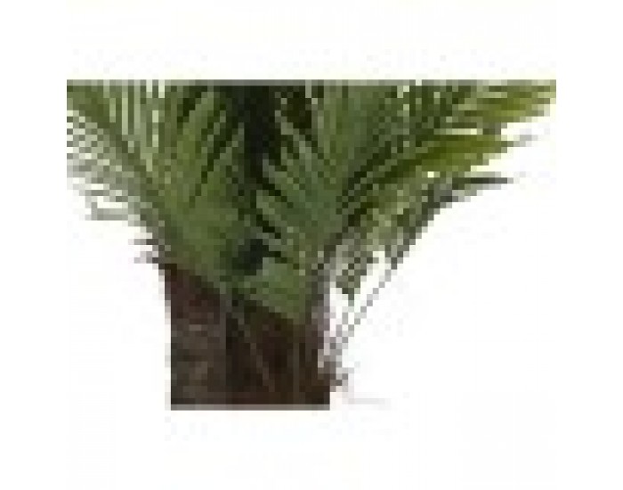 Дърво DKD Home Decor Палма полипропилен 100 x 100 x 250 cm