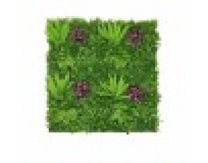 Комплект за Вертикална Градина орлова папрат Многоцветен Пластмаса 100 x 7 x 100 cm (12 броя)