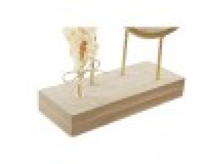 Lauakell DKD Home Decor Огледало Естествен Златен Метал MDF (26 x 8 x 53 cm)