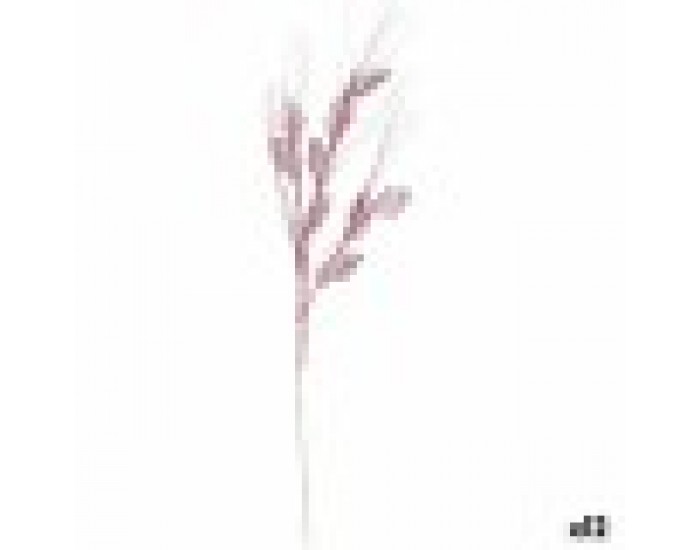 Клон Розов 46 x 80 x 5 cm (12 броя)