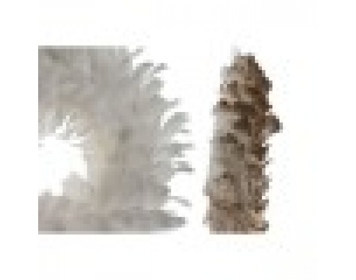 Коледен венец Home ESPRIT Бял Златен Перо 30 x 7 x 30 cm (2 броя)