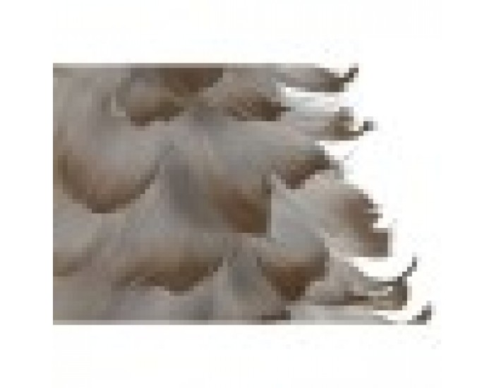 Коледно дърво Home ESPRIT Бял Златен Картон Перо 22 x 22 x 46 cm (2 броя)