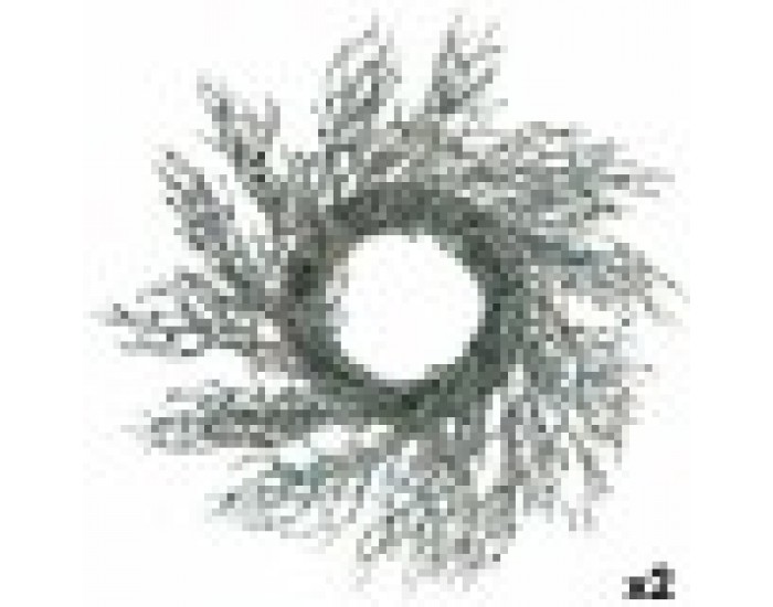 Коледен венец Клон Син Пластмаса 50 x 10 x 50 cm (2 броя)