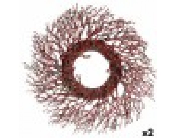 Коледен венец Клон Червен Пластмаса 50 x 10 x 50 cm (2 броя)