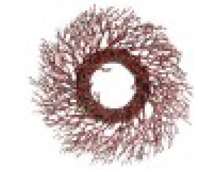 Коледен венец Клон Червен Пластмаса 50 x 10 x 50 cm (2 броя)