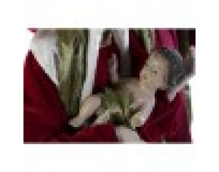 Рождествена Коледна Сцена DKD Home Decor Бял Червен Зелен 48 x 28 x 90 cm Рождествена Коледна Сцена DKD Home Decor Бял Червен Зелен 48 x 28 x 90 cm